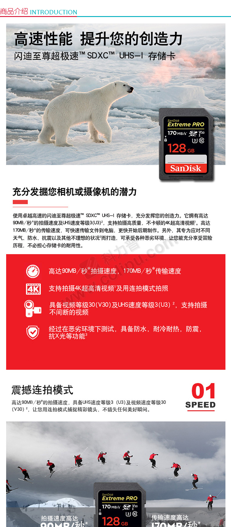 闪迪 SanDisk SD存储卡 SDXXY-128G-ZN4IN 128GB  U3 C10 V30 4K 读速170MB/s 写速90MB/s 捕捉4K超高清