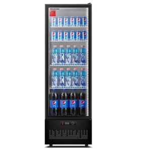 德玛仕 德玛仕 DEMASHI 立式 单门直冷水果蔬菜饮料冷藏展示柜 LG-300ZH1 230升  全国大部分地区含运（偏远地区加收运费，详询客服）  230升  冰柜/冰吧